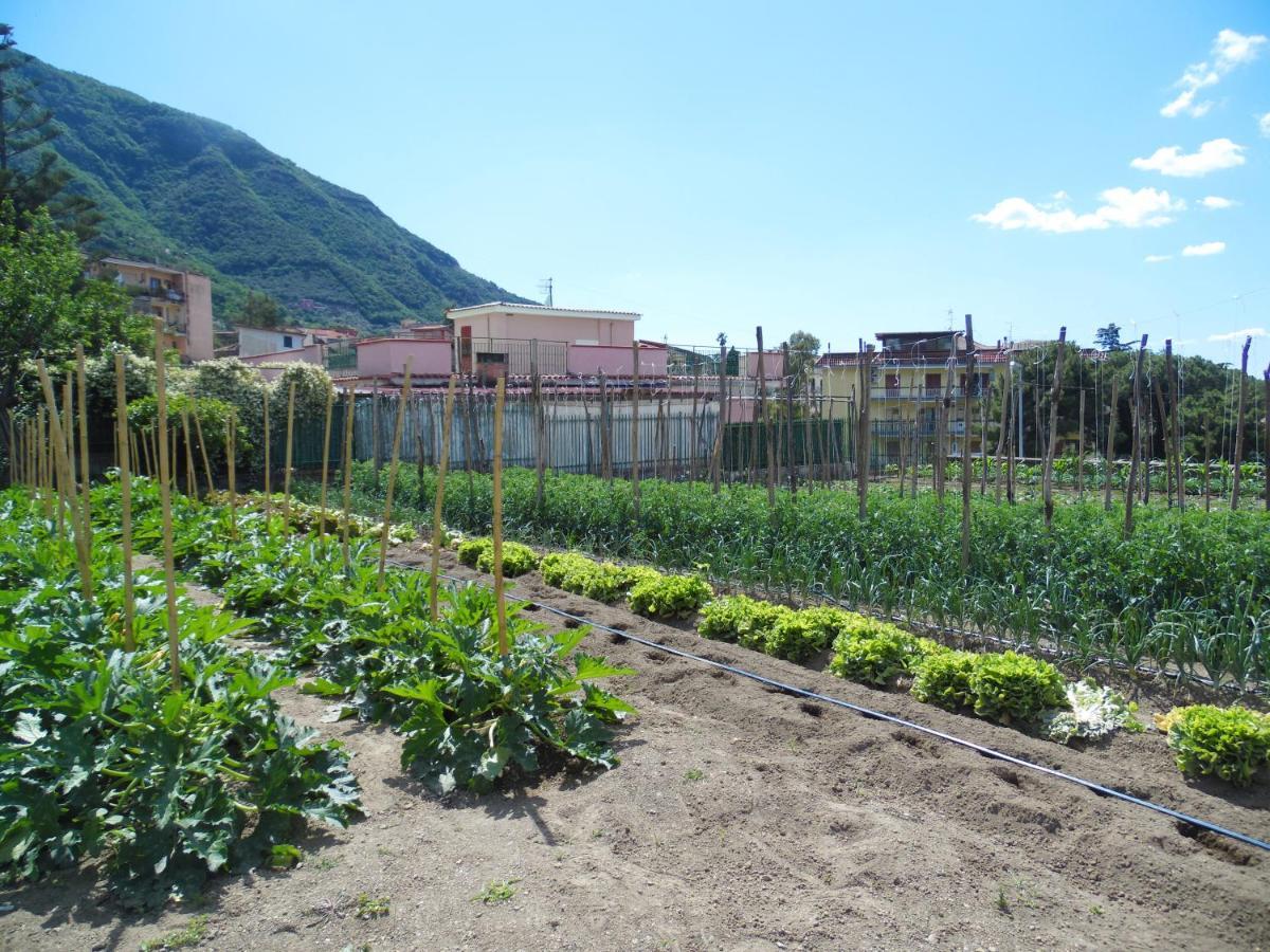 Villa Bianca Castellammare di Stabia Luaran gambar