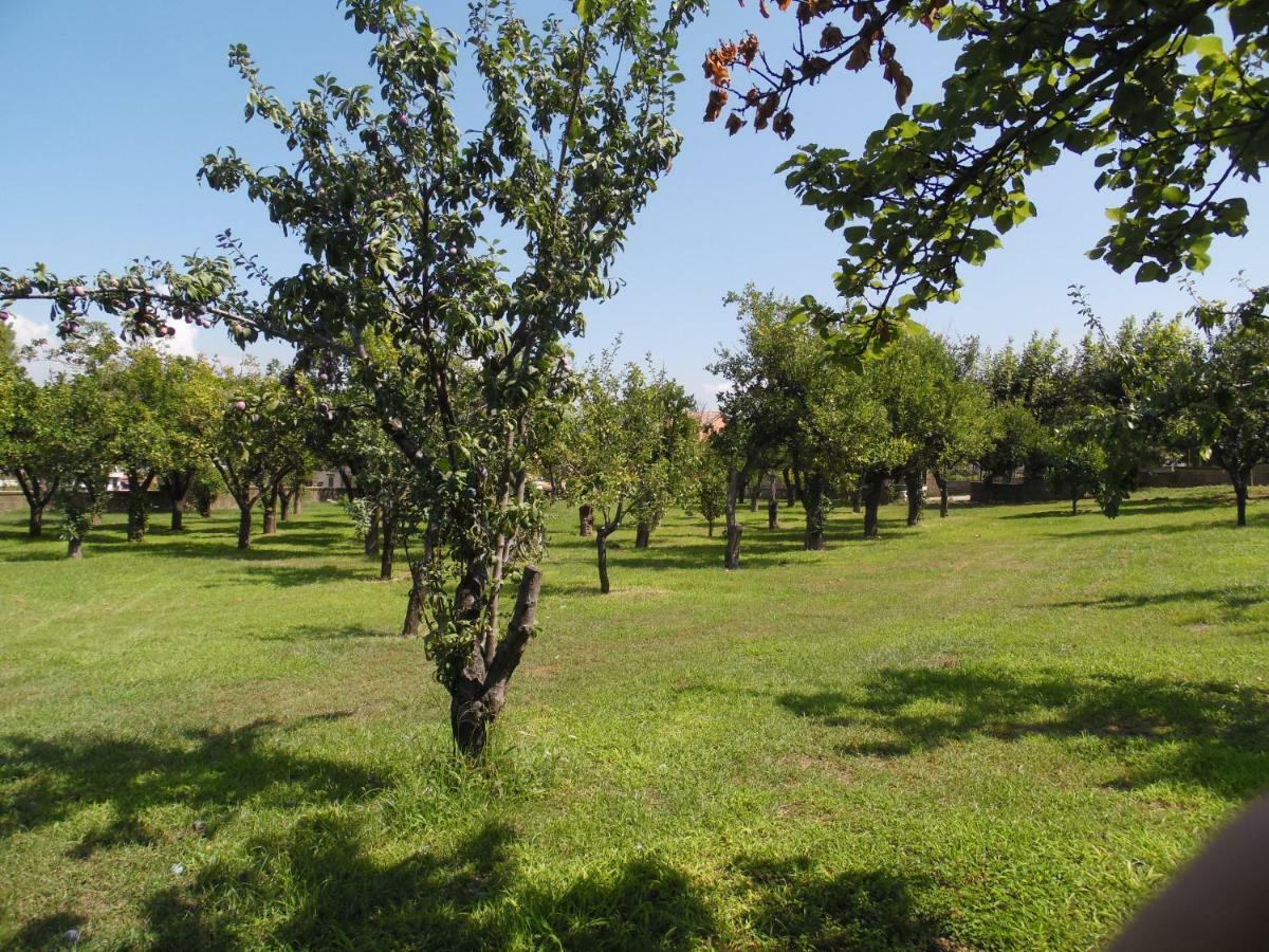 Villa Bianca Castellammare di Stabia Luaran gambar